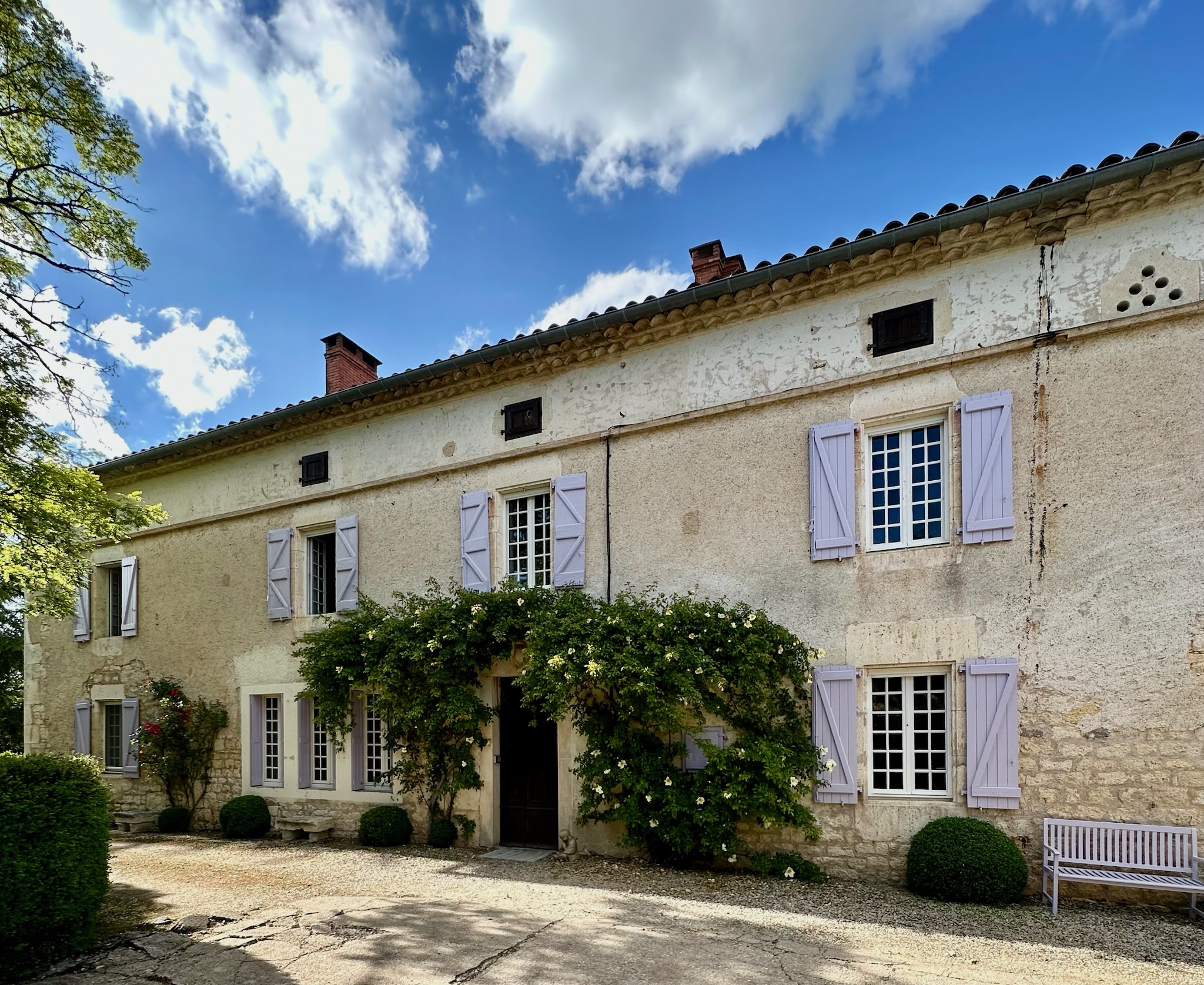 A Dream in Bloom: How Les Manibelles Found Us