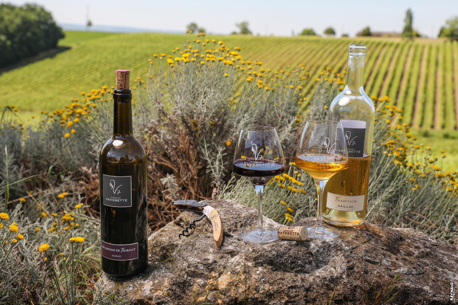 Gaillac Wine Guide: Tastings, Villages &amp; Private Visits in the Tarn